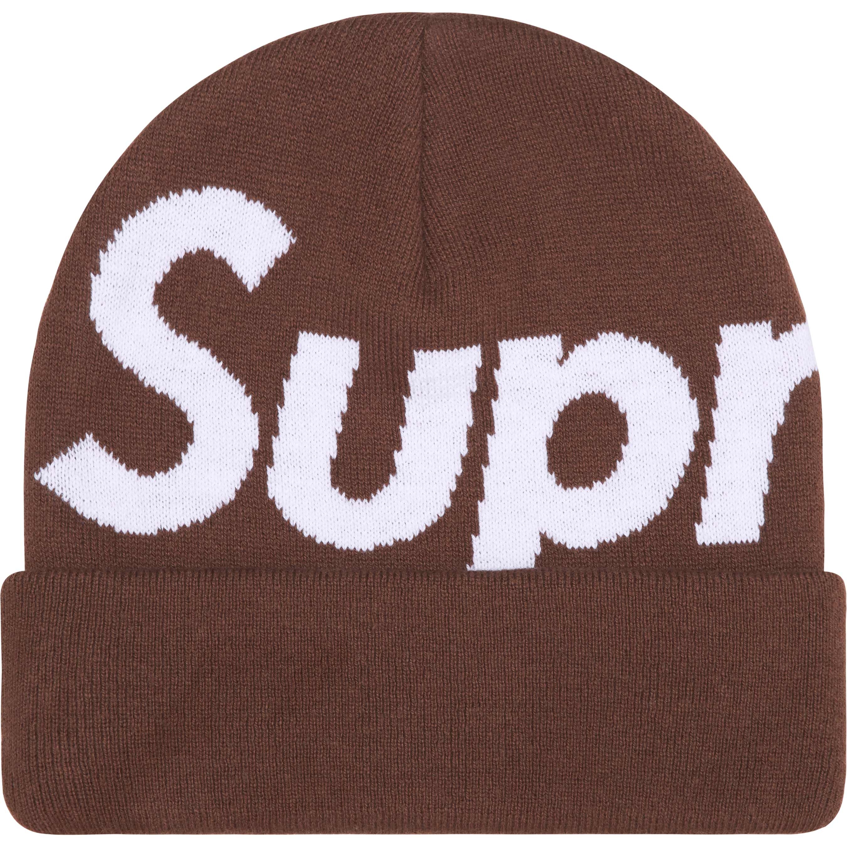 Big Logo Beanie view 8